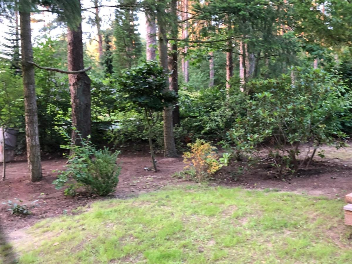 Ferienhaus Reetdach 1300Qm Privatgrundstueck Bootssteg Sauna Templin Luebbesee Uckermark Erholung Pur Seenplatte Petersdorf  Extérieur photo